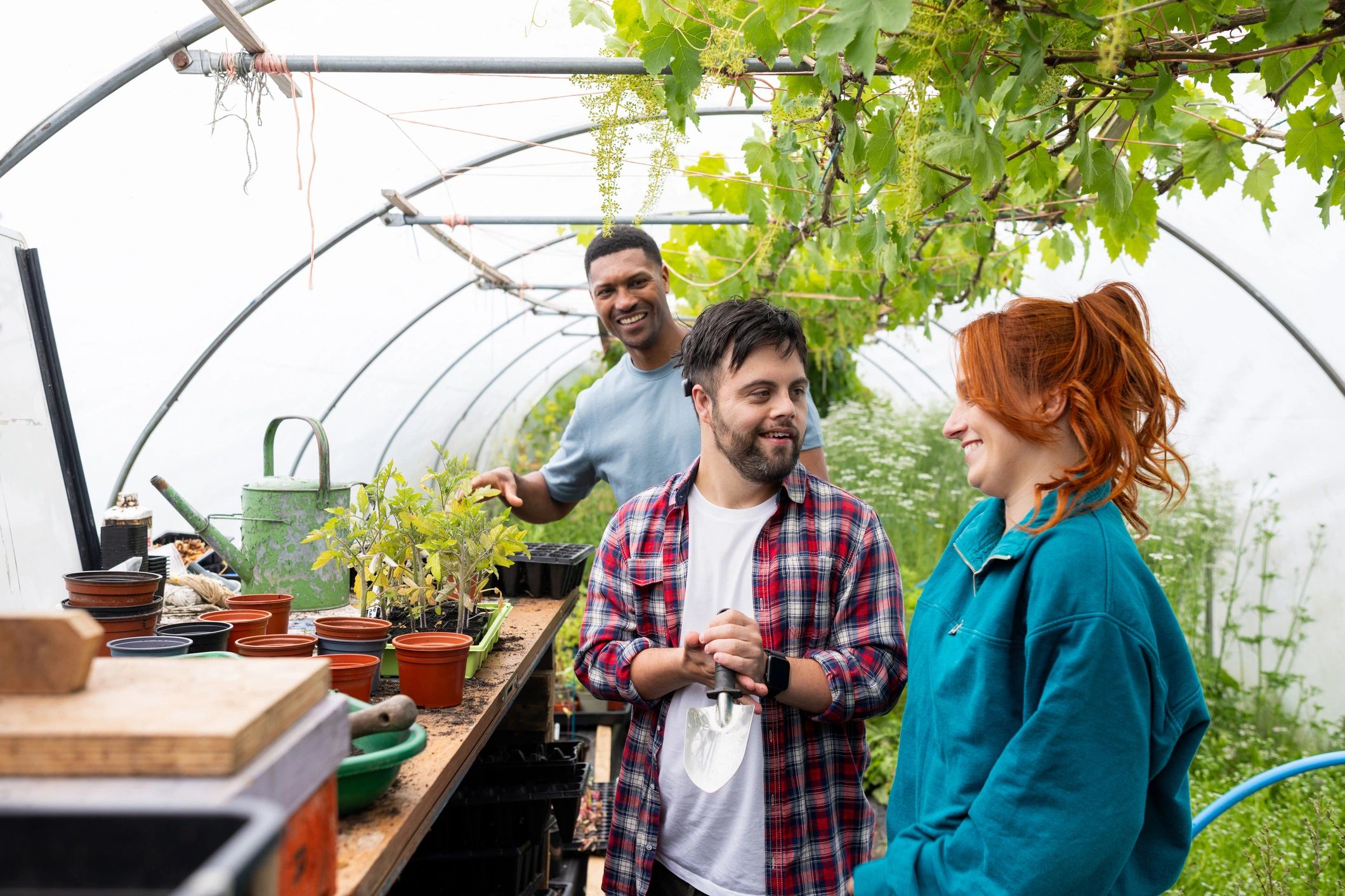 Seasonal workers tending plants in a greenhouse